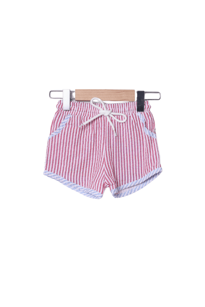 The Smocked Flamingo Apparel & Accessories Embroidered Firework Seersucker Short Set