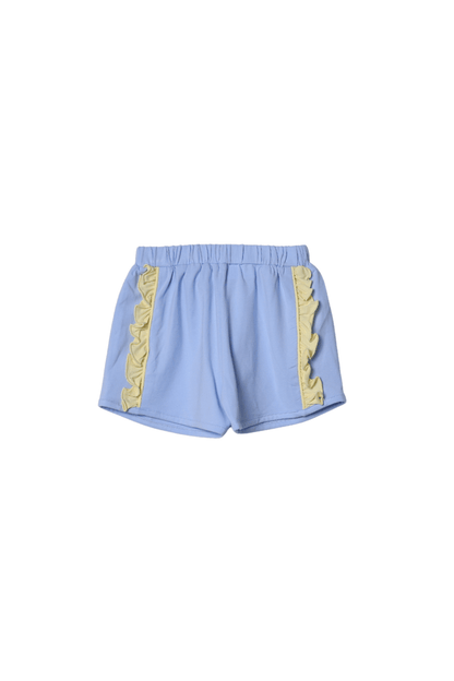 The Smocked Flamingo Apparel & Accessories Applique Ferris Wheel Fun Color Block Swing Short Set