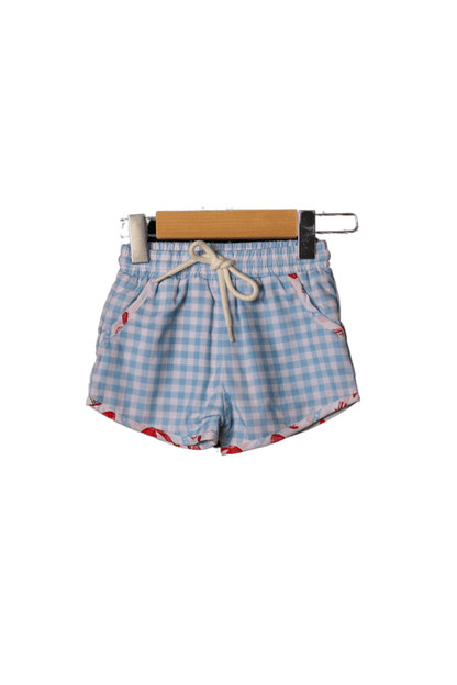 The Smocked Flamingo Apparel & Accessories Red, White and Blue Gingham Swim Trunks