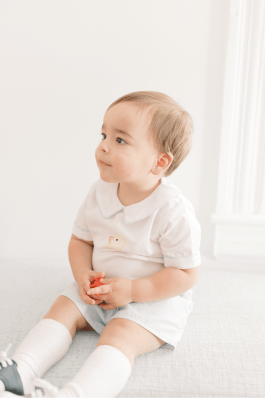 The Smocked Flamingo Apparel & Accessories TSF x Shelby Back Shadow Embroidery Duck Blue Gingham Short Set